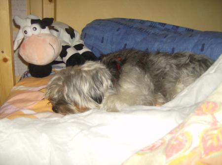 mon bb , ma vie!